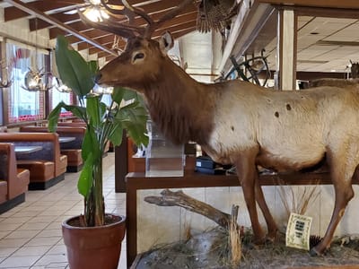 Six Beans Coffee Co.