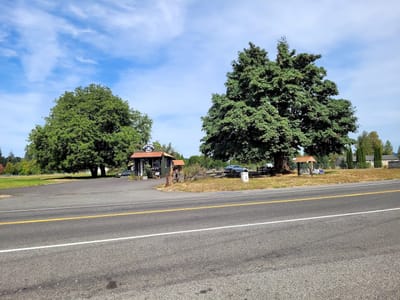 Skull & Crossbones Coffee Co.