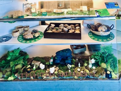 Sleepy Dog Coffee Co