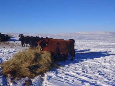 Smokehouse Grill & Sacred Grounds Coffee Shop