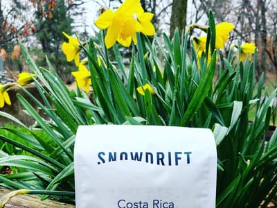 Snowdrift Coffee Roasters