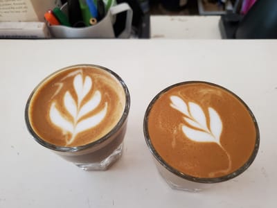 Social Grounds Coffee Roasters