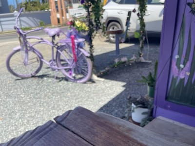 Solecito Coffee Shop