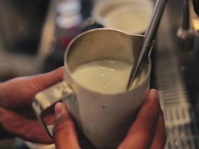 Solid Coffee Roasters - Bellflower