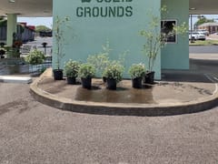 SOLID GROUNDS