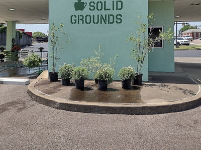 SOLID GROUNDS