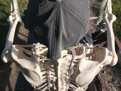 Somethin' Else Coffee Trailer