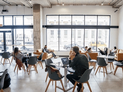 Sons of Liberty Coffee