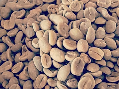 SoTex Coffee Roasters