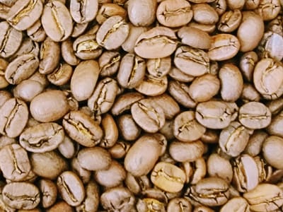 SoTex Coffee Roasters