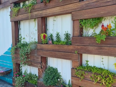 Soulberri Coffee + Smoothies