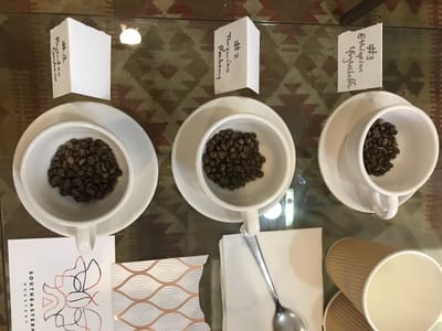 Southeastern Roastery Coffee Lab