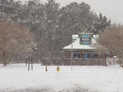 Southern Brews Coffee