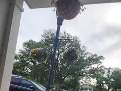 Southern Shores Eats & Drinks