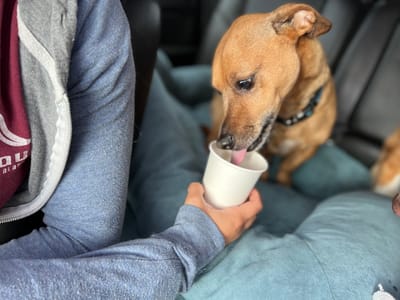 Southern Shores Eats & Drinks