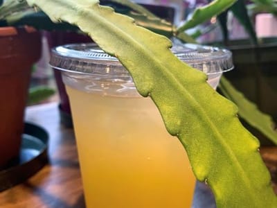 Southpaw Cafe & Community Center