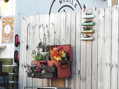 Spaddy's Coffee Co. - Seminole Heights