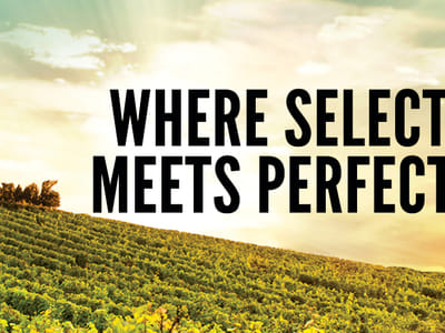 Spec's Wines, Spirits & Finer Foods