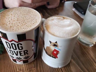 Spork Cafe & Catering