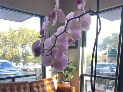 Spotted Deer Coffee Company