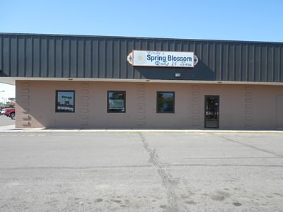 Spring Blossom Quilt N Sew