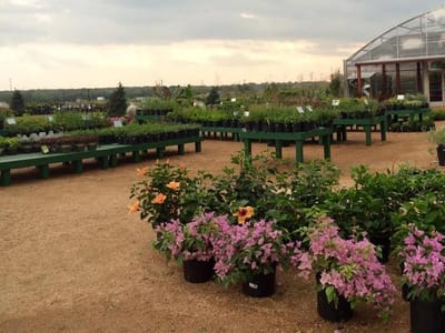 Spring Creek Gardens