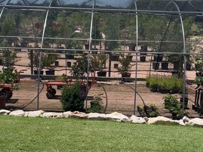 Spring Creek Gardens