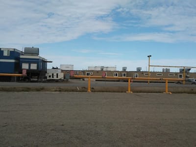 Stallion's Gitty-Up Espresso