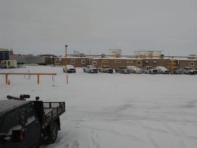 Stallion's Gitty-Up Espresso