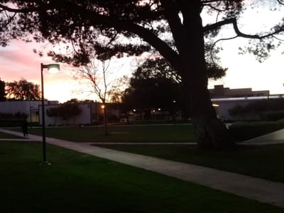 Starry Sky Coffee Company