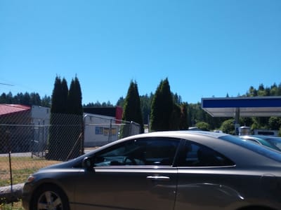 Steamboat Island Coffee Shop