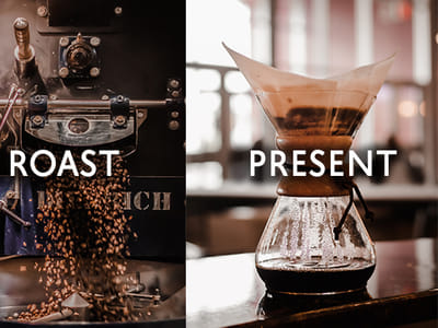 SteamDot Benson Coffee Bar