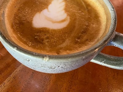 Steep Brewing and Coffee Company