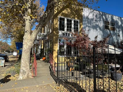 STEEP Organic Coffee and Tea