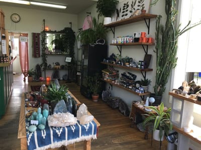 STEEP Organic Coffee and Tea