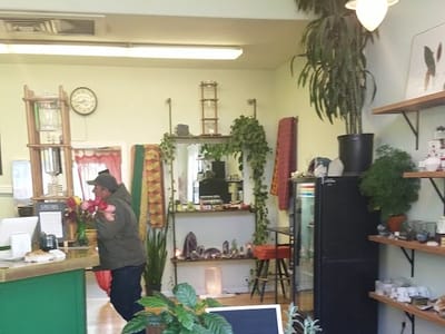 STEEP Organic Coffee and Tea