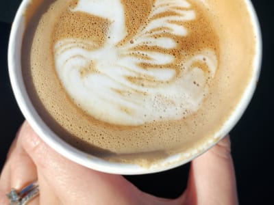 Stell Coffee & Tea Co