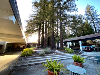 Stevenson Coffee House