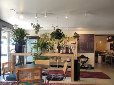 Still Life Coffee & Botanicals