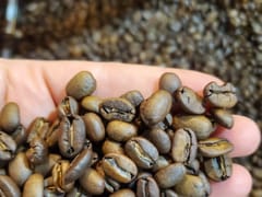 Stirling Roastery
