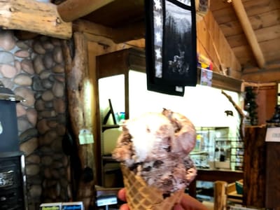 Stop The Car Trading Post