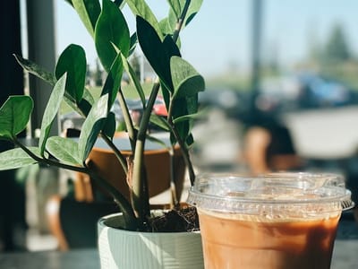 Stories Coffee Company