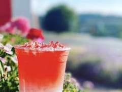 Strawberry Bay Coffee & Roasting