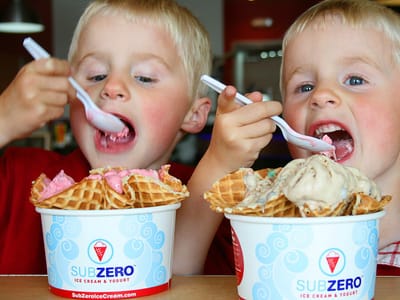 Sub Zero Nitrogen Ice Cream