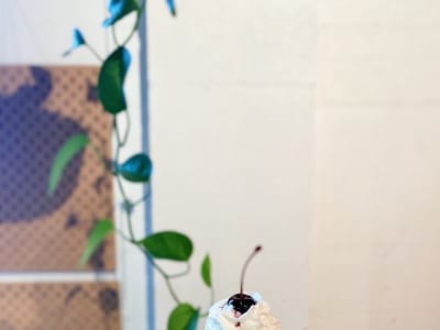 Sugar and Snow Gelato