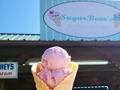 Sugarbear's Ice-cream and Coffee
