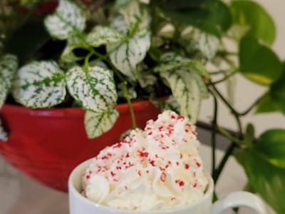 Summit Coffee Mooresville