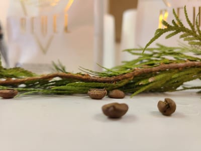 Sunrise City Coffee Company