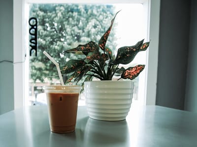 Sunrise Coffee Bar, LLC