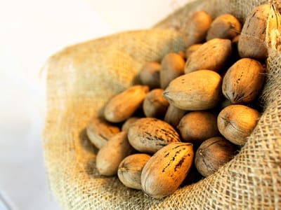 Superior Pecans & Gifts